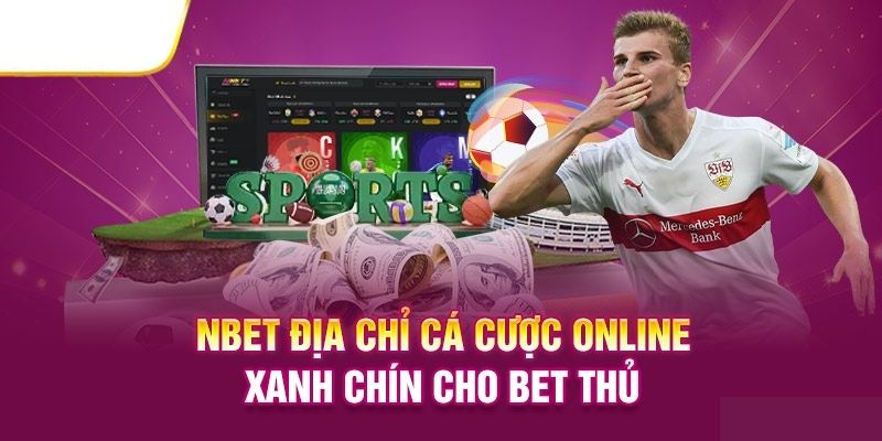 Sân chơi NBET chất lượng và xanh chín